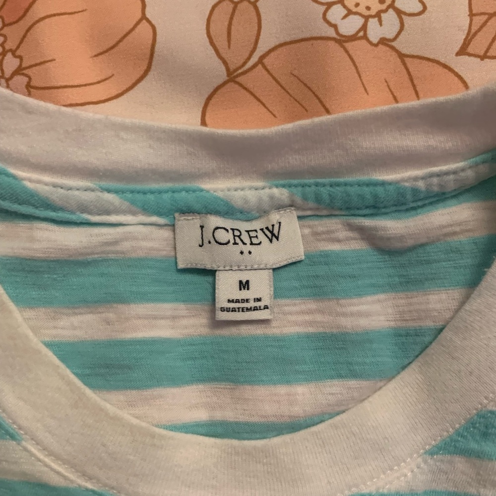 D O N A T E D J. Crew Aqua and White Striped Short Sleeve Tee size medium euc - Picture 3 of 6